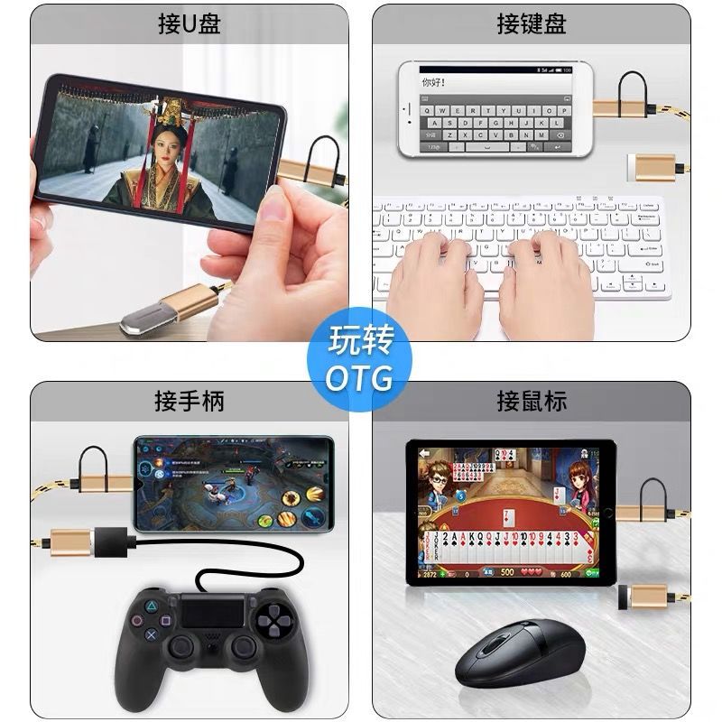 OTG two-in-one adapter