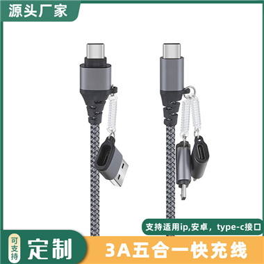5-in-1 data cable